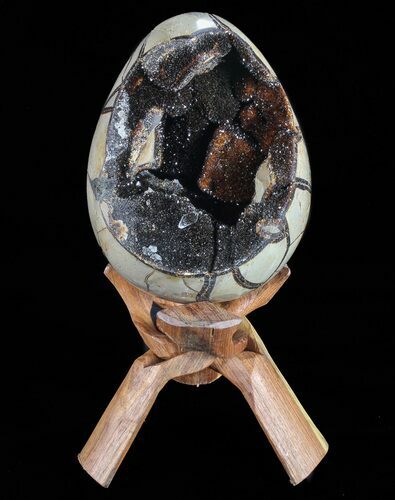 Septarian Dragon Egg Geode - Black Crystals #72054